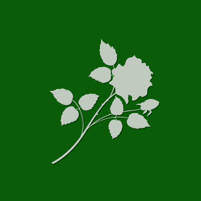 FLower Green Square, par Xavier E. G. Dierick